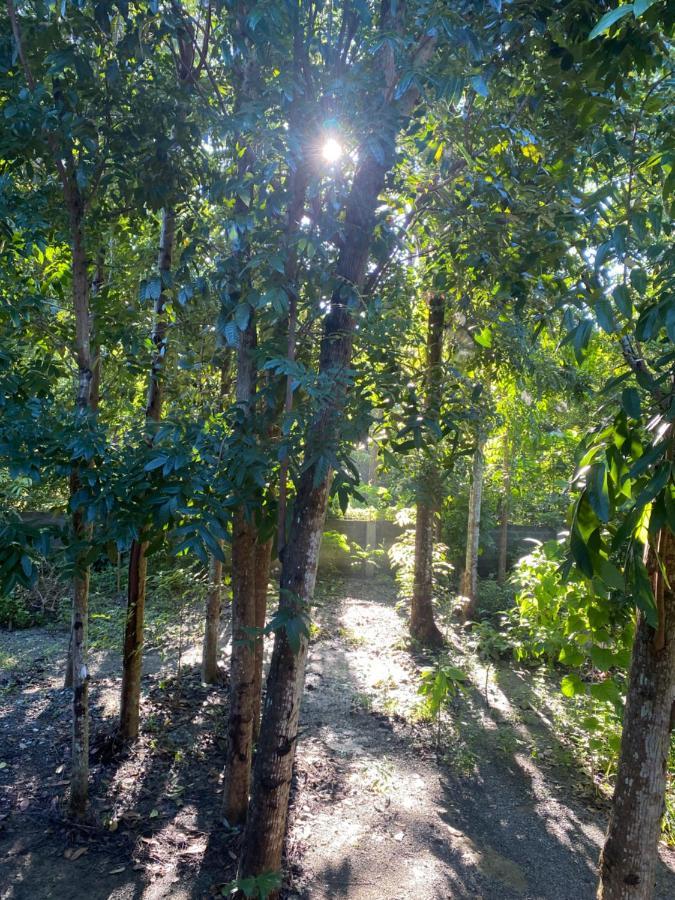 Balai Benedicere Bed & Breakfast Bacnotan ภายนอก รูปภาพ