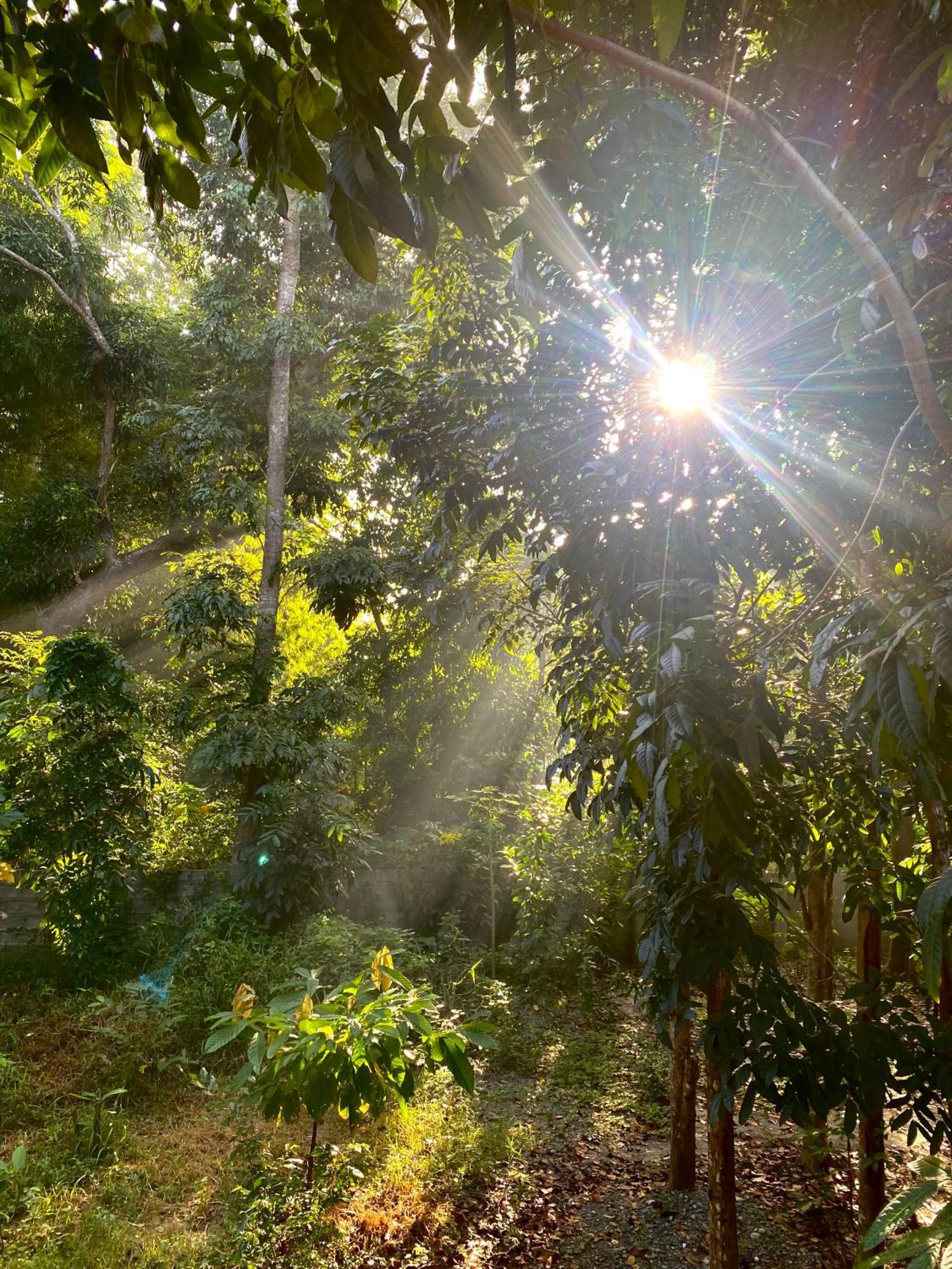 Balai Benedicere Bed & Breakfast Bacnotan ภายนอก รูปภาพ